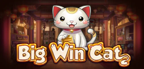 Keseruan Big Win Cat Spadegaming Online Seru!